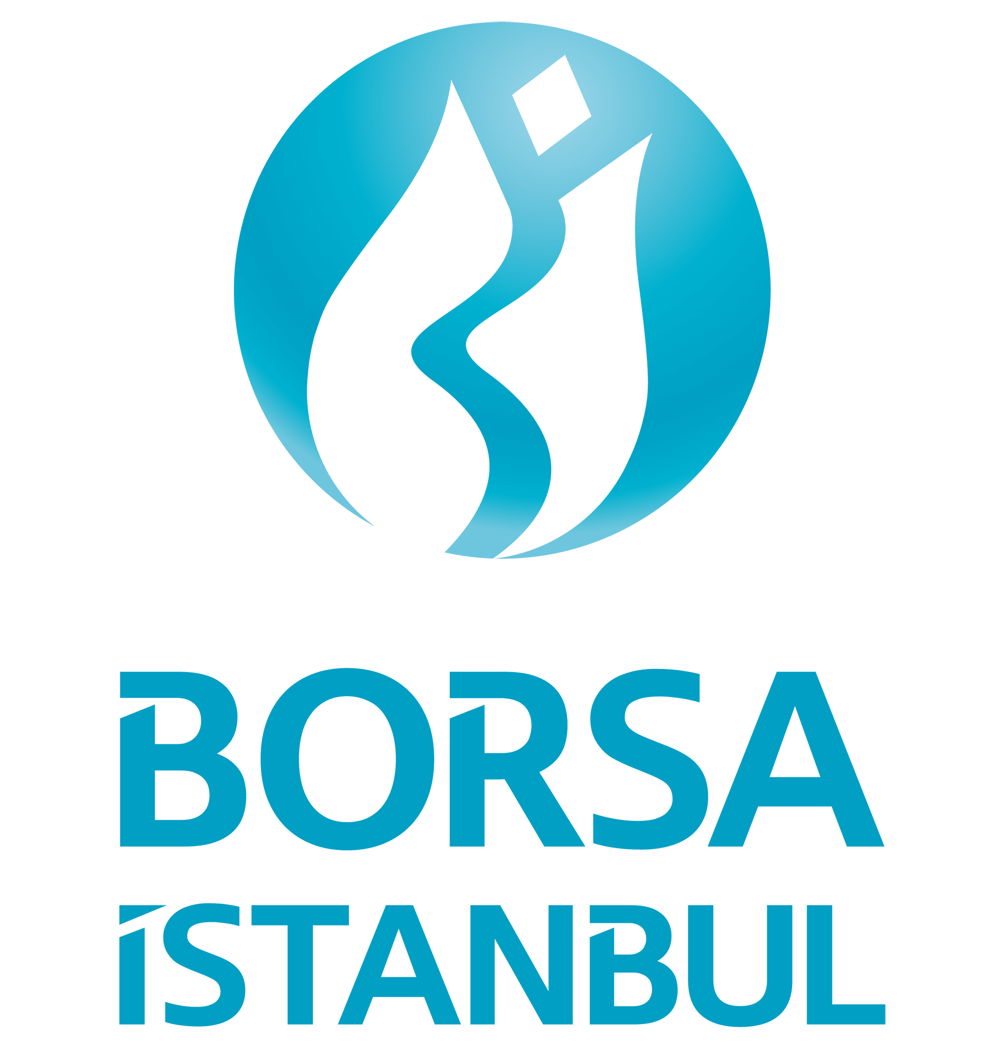 Borsa İstanbul - Elmas ve Kıymetli Taş Piyasasında İşlem Yapmaya Yetkilidir